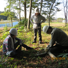 アルバムを表示します
